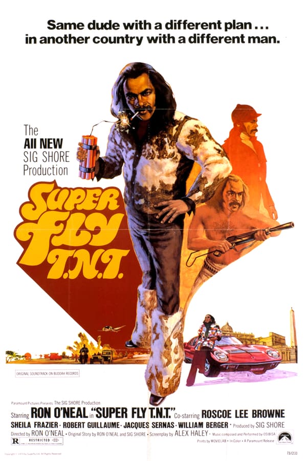 Cover of the movie Super Fly T.N.T.