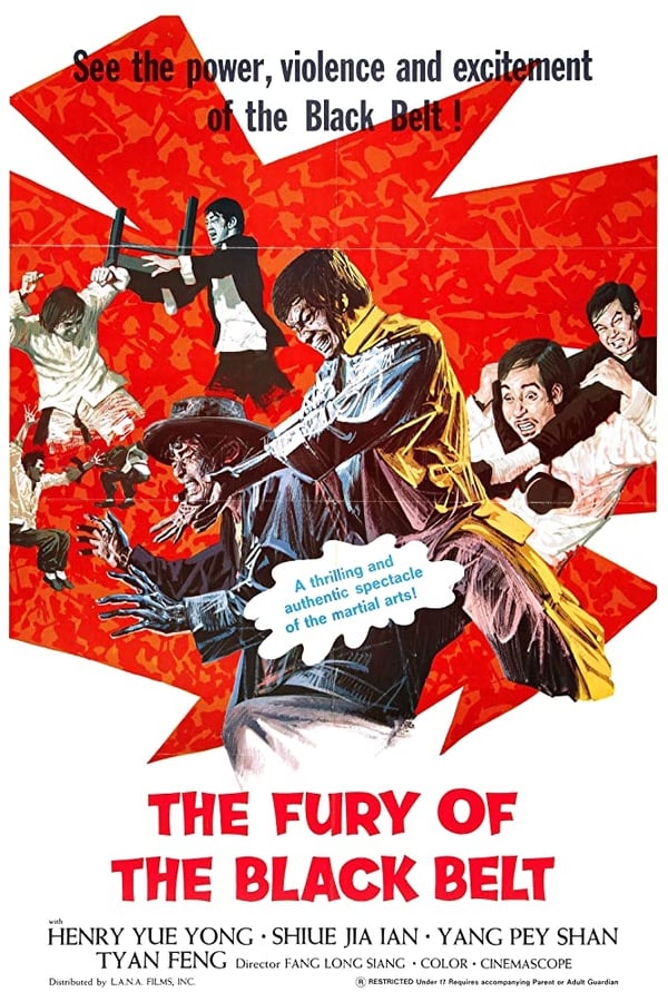 Cover of the movie The Awaken Punch