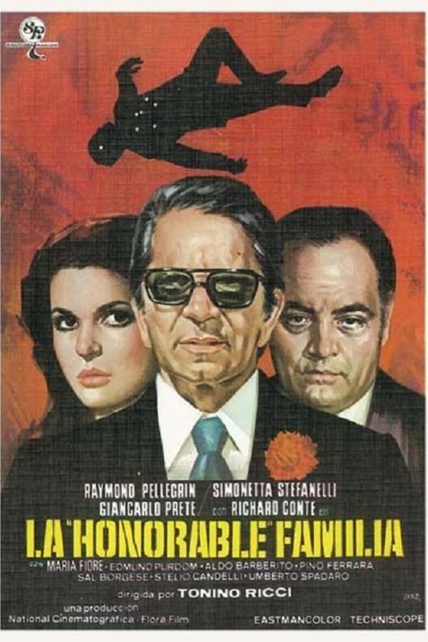 Cover of the movie The Big Family