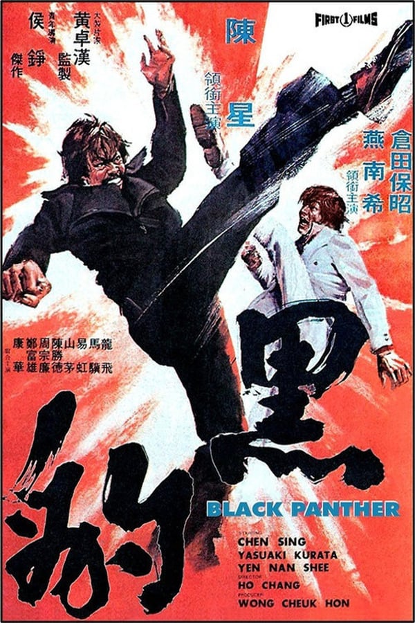 Cover of the movie The Black Panther