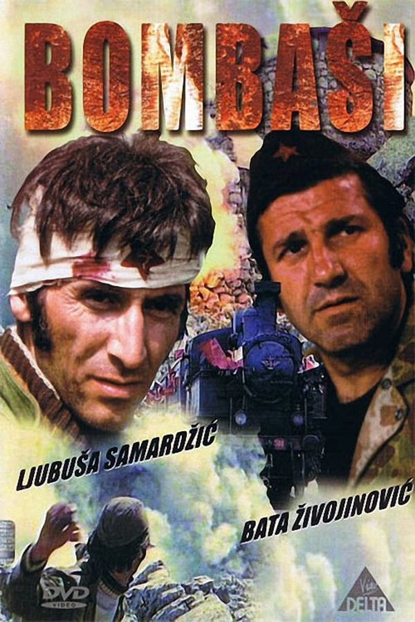 Cover of the movie The Bombers