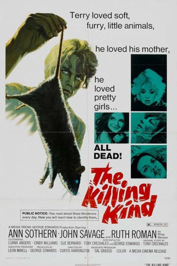 Cover of the movie The Killing Kind