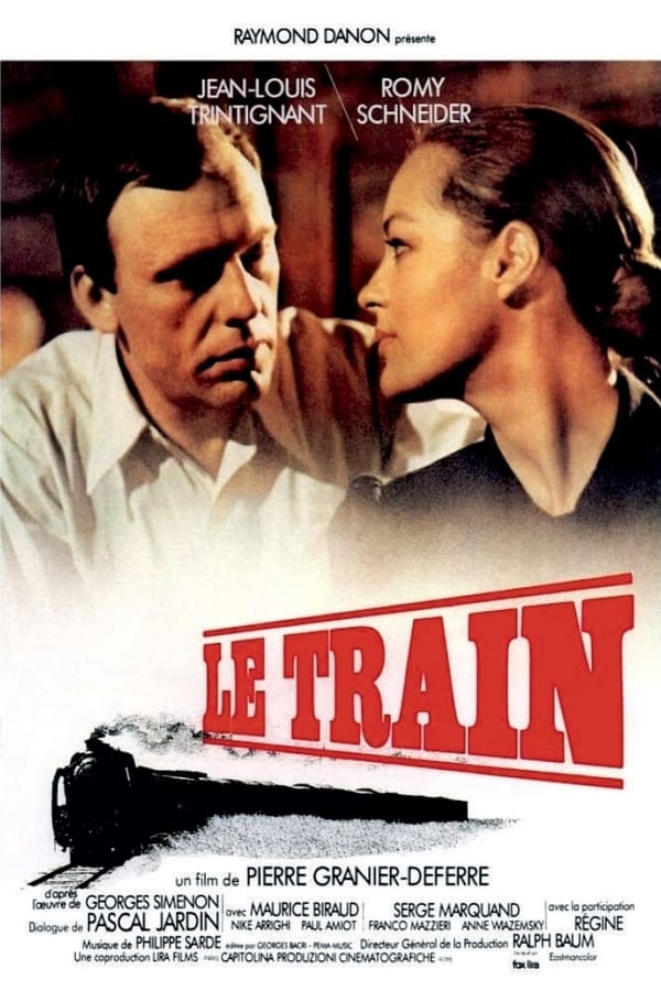 Cover of the movie The Last Train