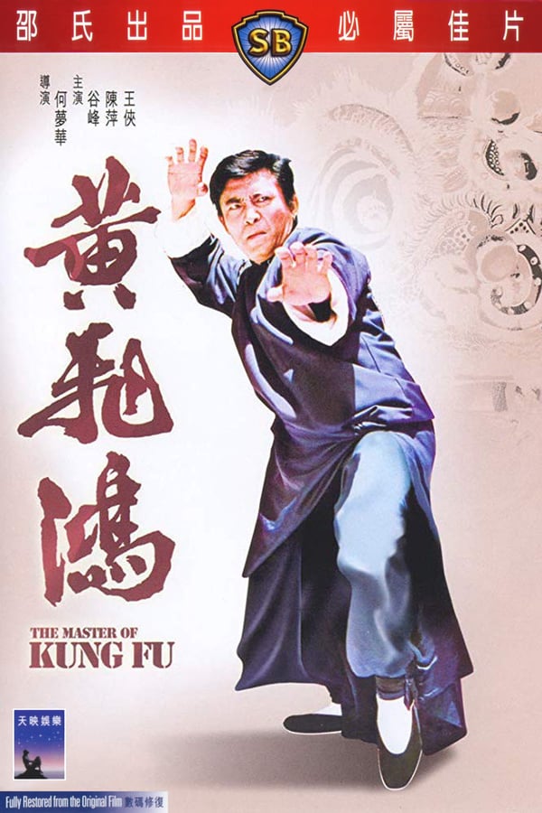 Cover of the movie The Master of Kung Fu
