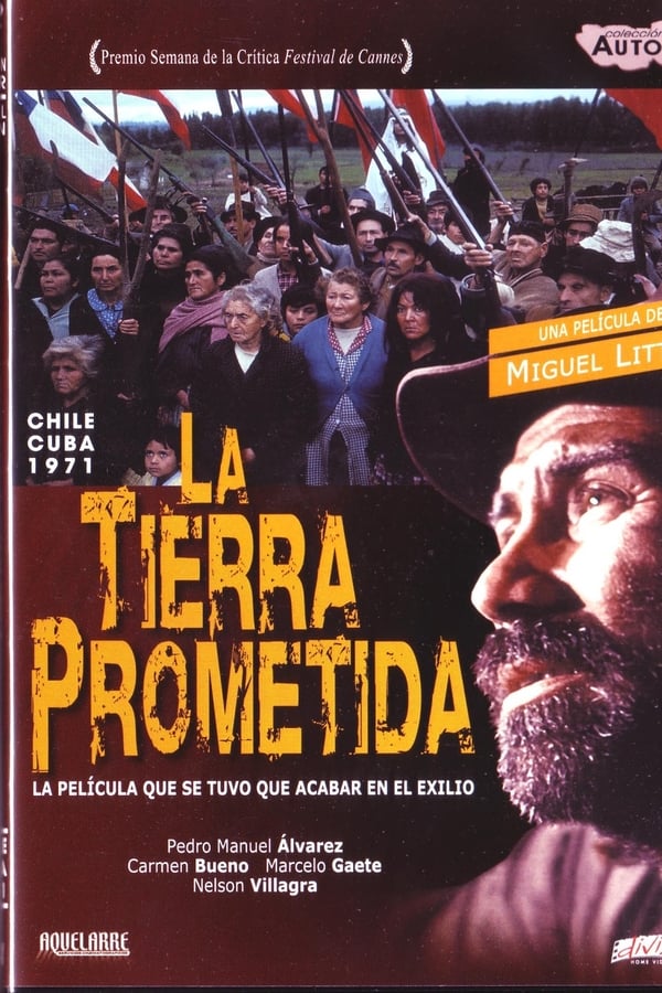 Cover of the movie The Promised Land