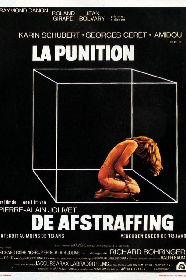 Cover of the movie The Punishment