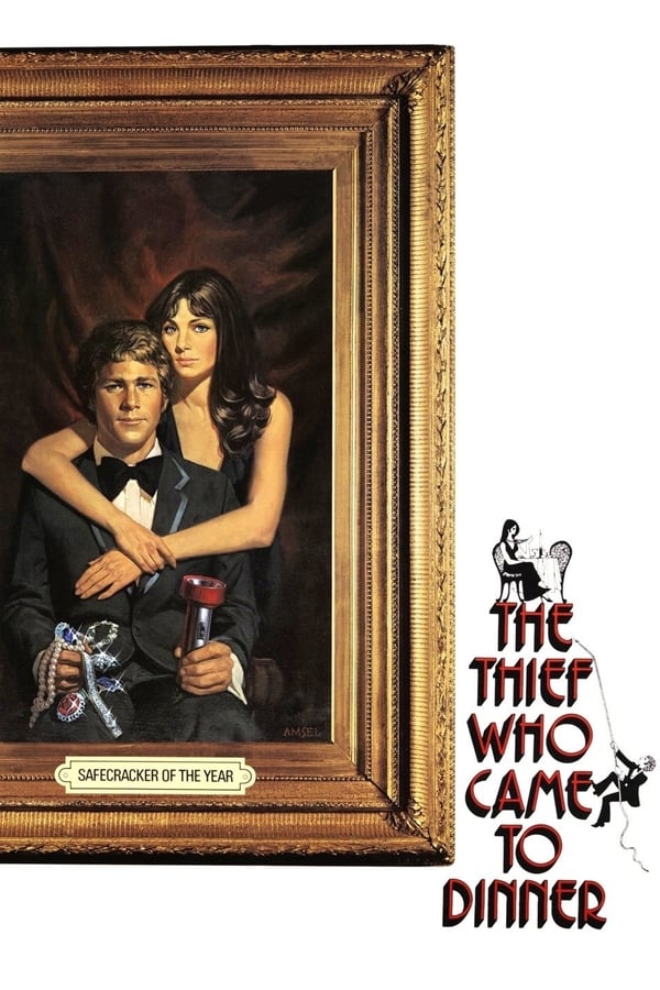 Cover of the movie The Thief Who Came to Dinner
