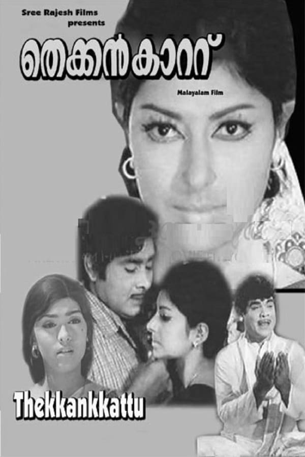 Cover of the movie Thekkan Kattu