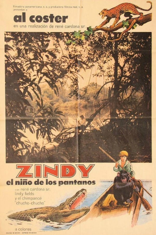 Cover of the movie Zindy, the Swamp Boy