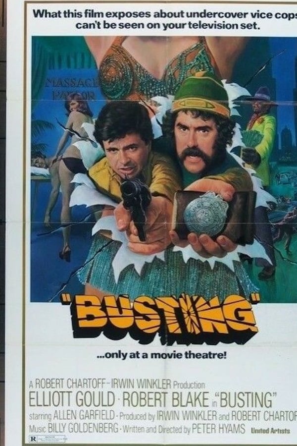 Cover of the movie Busting