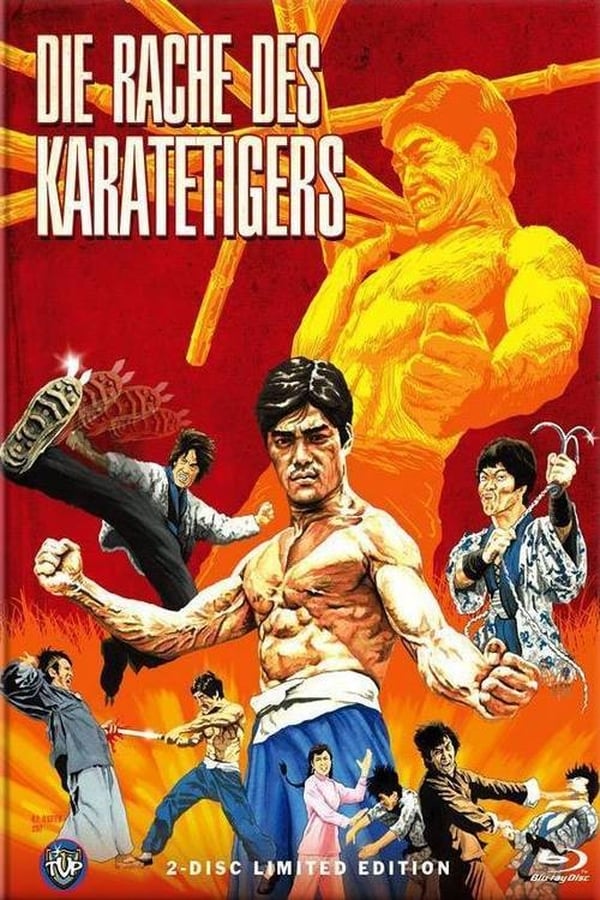 Cover of the movie Challenge the Dragon