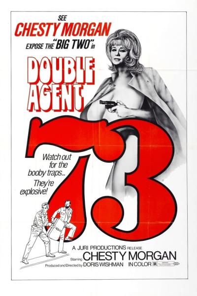Cover of Double Agent 73
