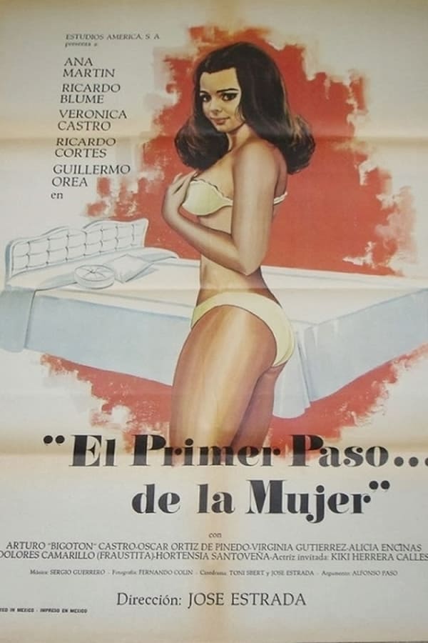 Cover of the movie El primer paso... de la mujer