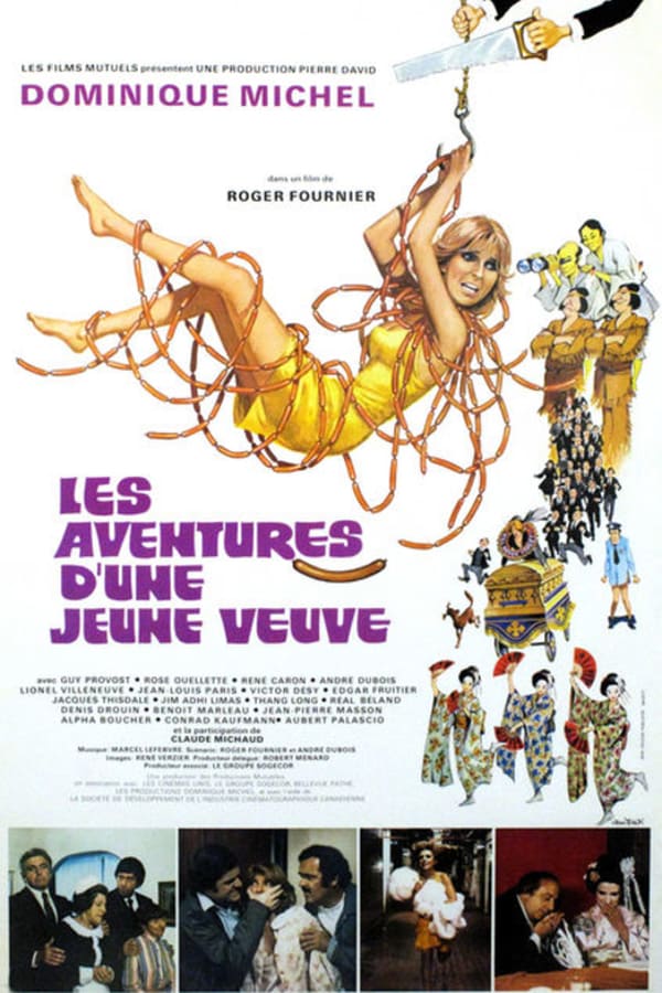 Cover of the movie Les aventures d'une jeune veuve