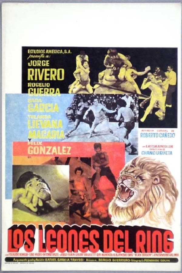 Cover of the movie Los leones del ring