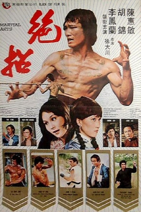Cover of the movie Martial Arts