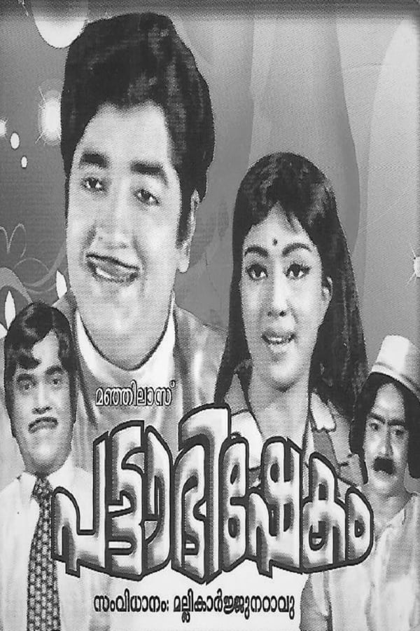 Cover of the movie Pattabhishekam