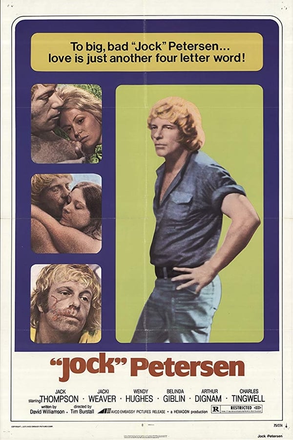 Cover of the movie Petersen
