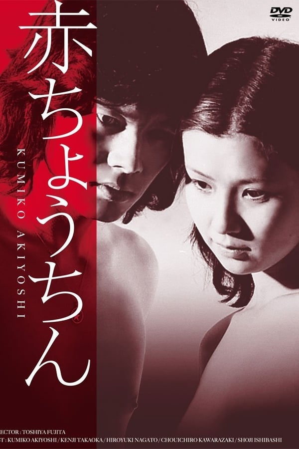 Cover of the movie Red Paper Lantern