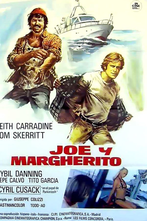 Cover of the movie Run, Run, Joe!