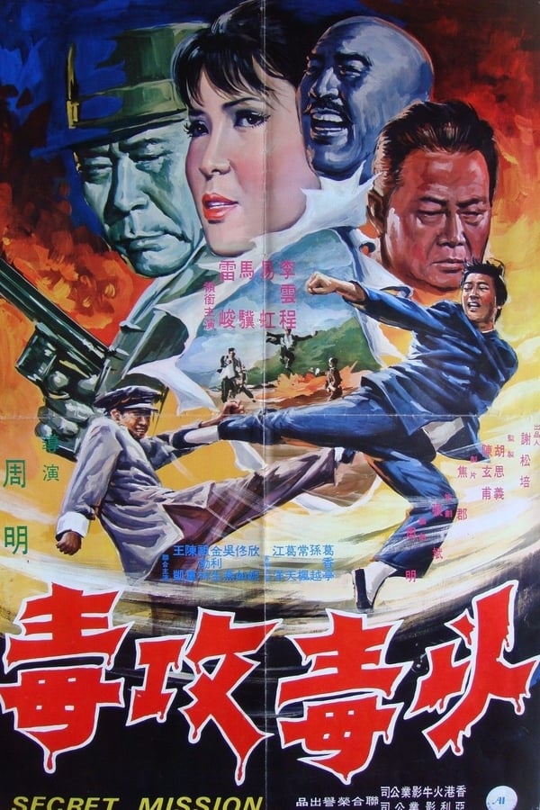 Cover of the movie Secret Mission