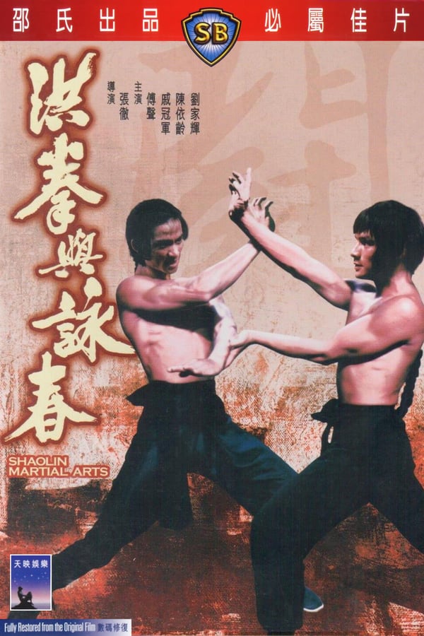 Cover of the movie Shaolin Martial Arts