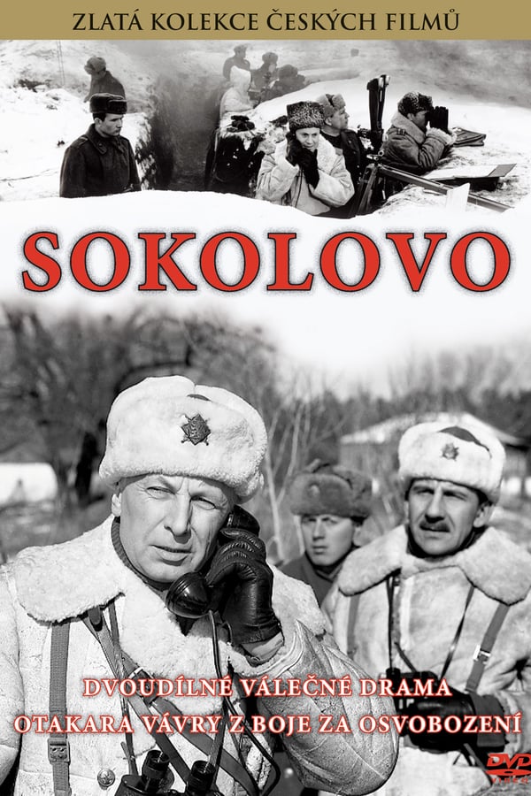 Cover of the movie Sokolovo