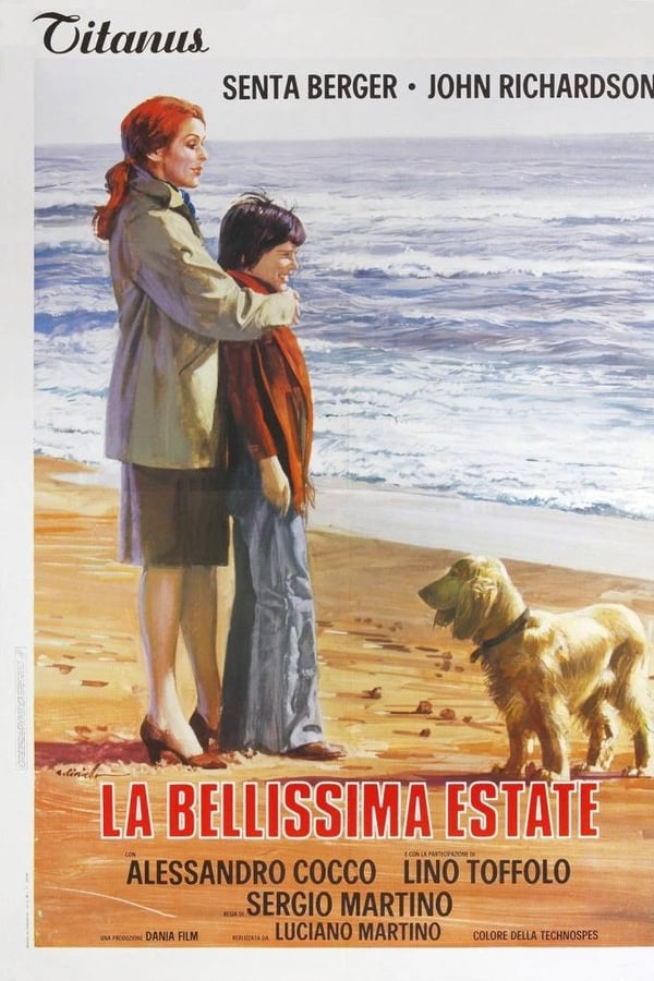 Cover of the movie Summer to Remember