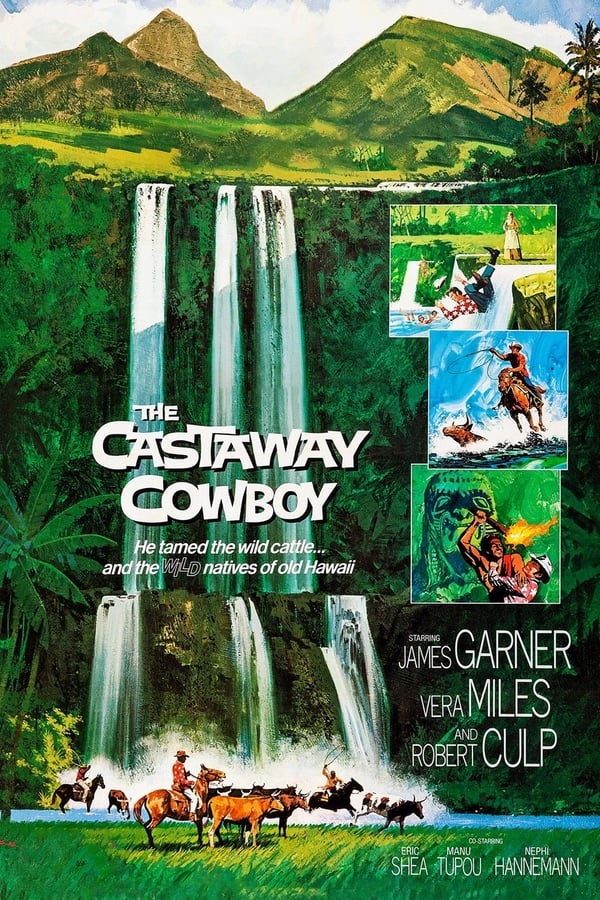 Cover of the movie The Castaway Cowboy