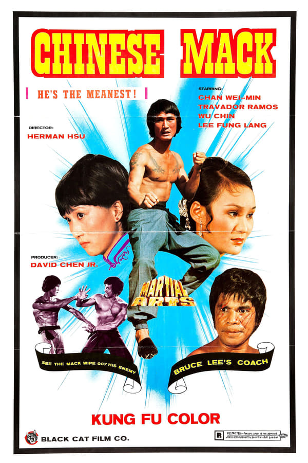 Cover of the movie The Chinese Mack