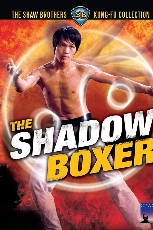 Cover of the movie The Shadow Boxer