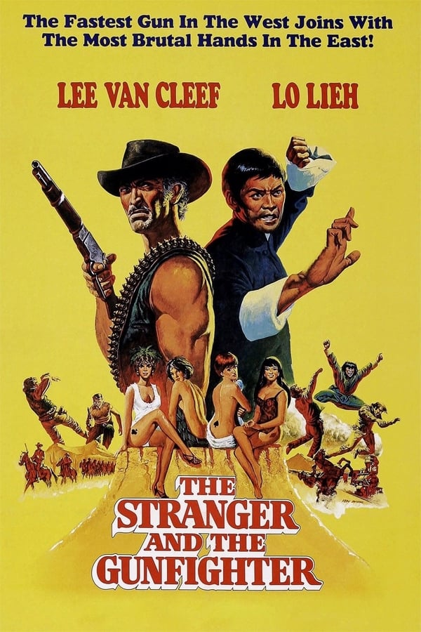 Cover of the movie The Stranger and the Gunfighter