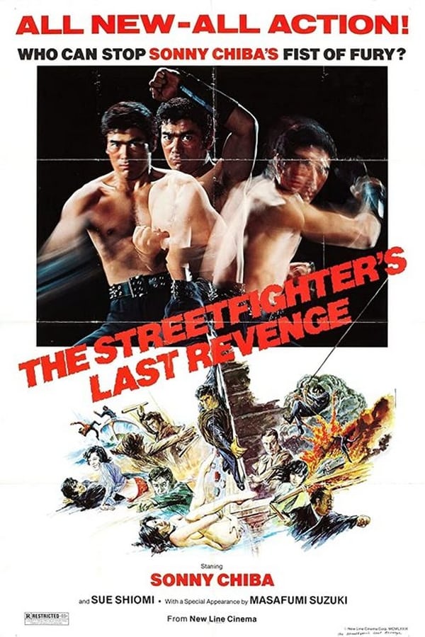 Cover of the movie The Street Fighter's Last Revenge