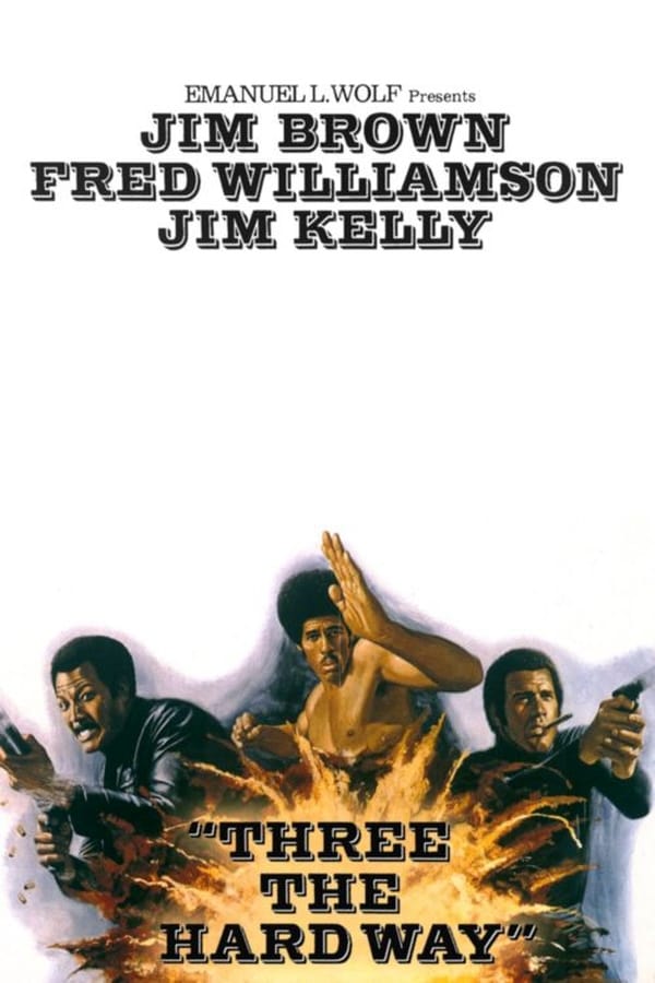Cover of the movie Three the Hard Way