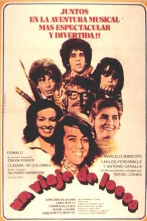 Cover of the movie Un viaje de locos