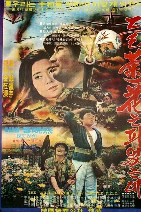 Cover of the movie Wildflowers on the Battleground
