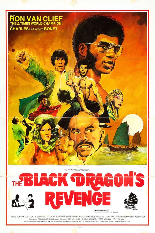 Cover of the movie Black Dragon's Revenge
