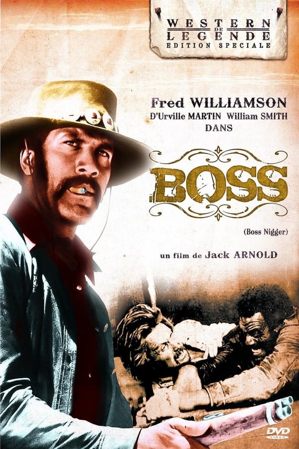 Cover of the movie Boss Nigger