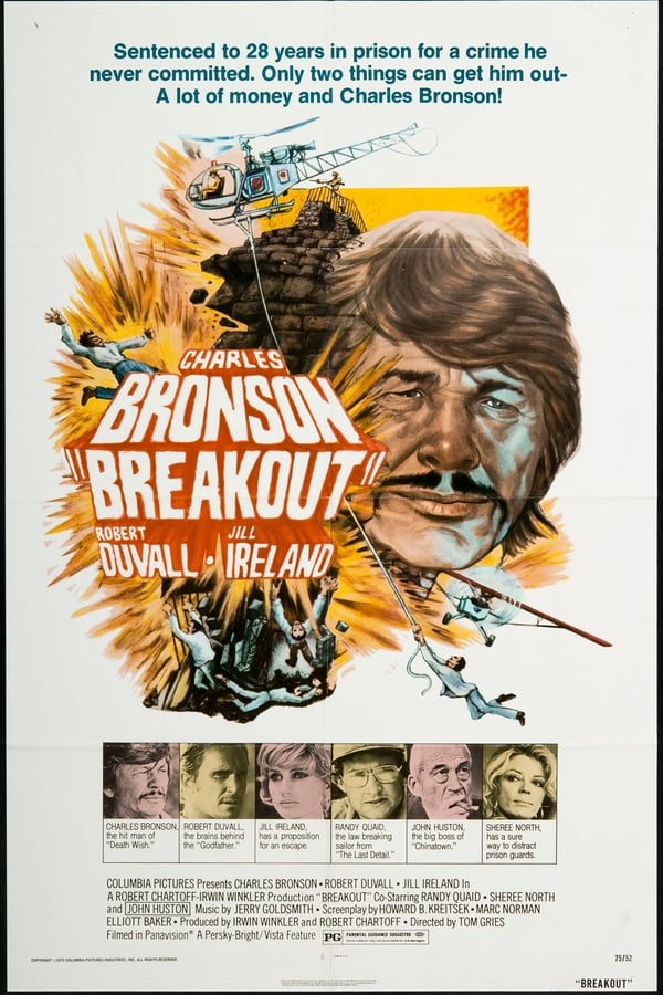 Cover of the movie Breakout