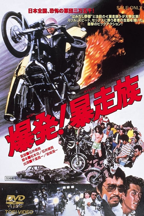 Cover of the movie Detonation: Violent Riders