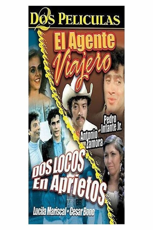 Cover of the movie El agente viajero