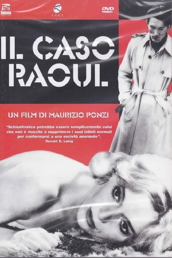 Cover of the movie Il caso Raoul