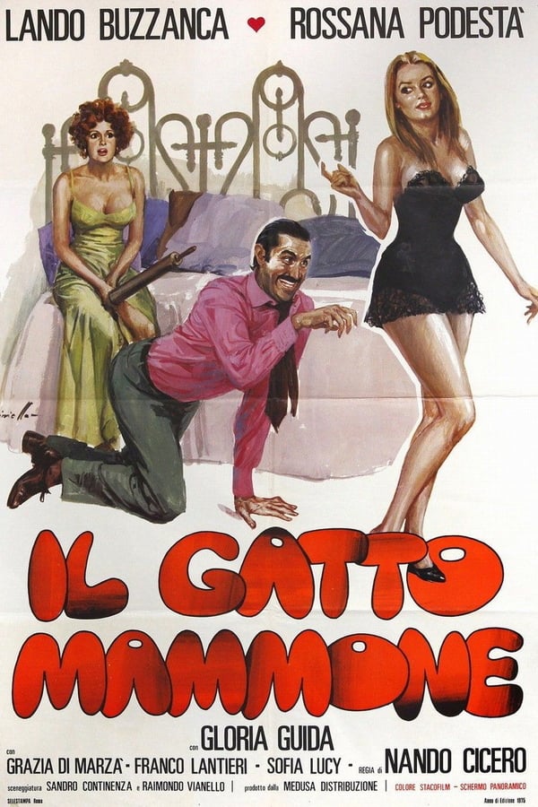 Cover of the movie Il gatto mammone