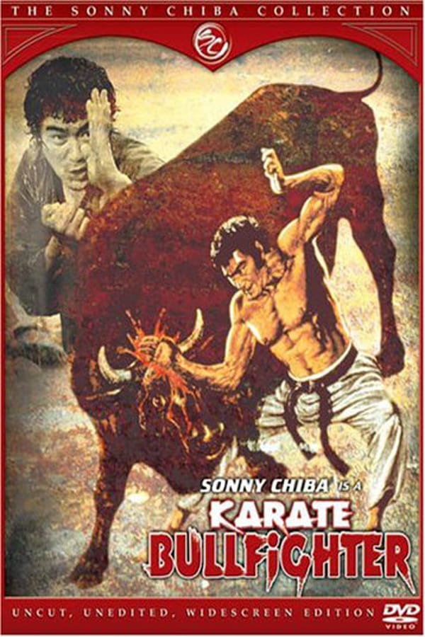 Cover of the movie Karate Bullfighter