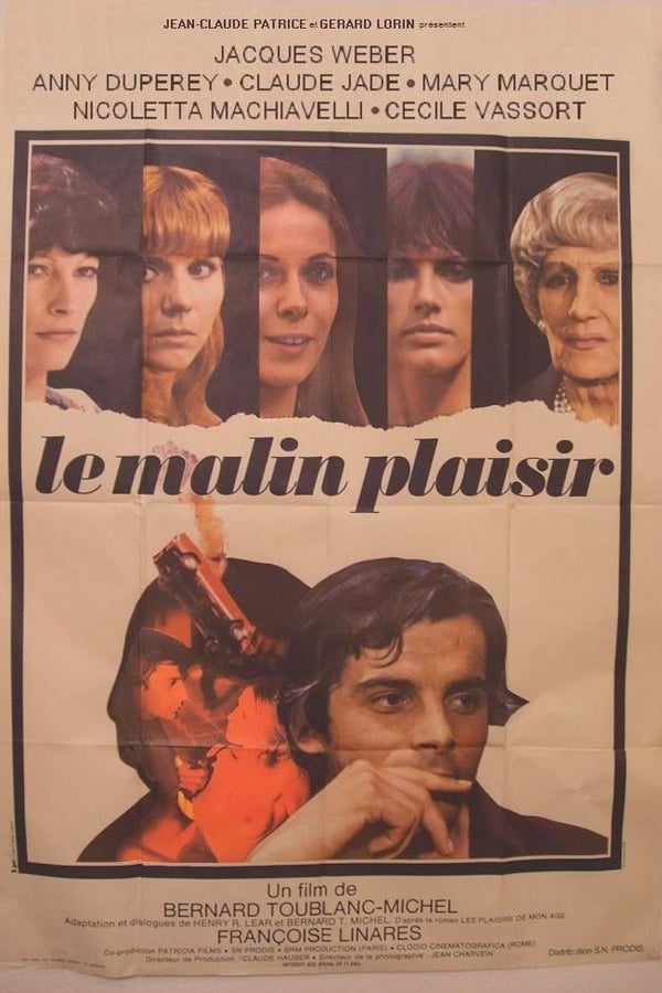 Cover of the movie Le malin plaisir
