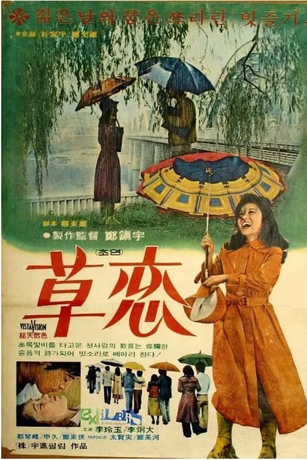 Cover of the movie Love In The Rain