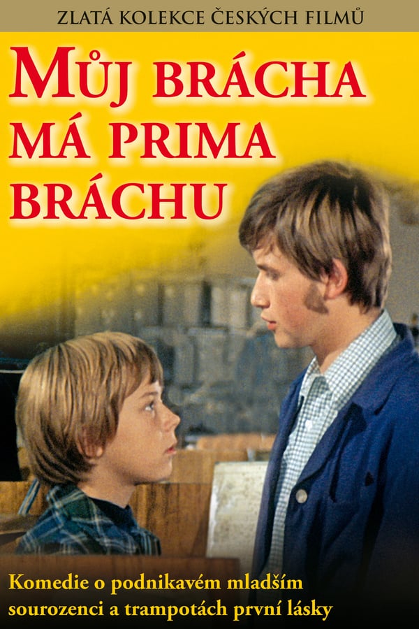 Cover of the movie My Brother Has a Cute Brother