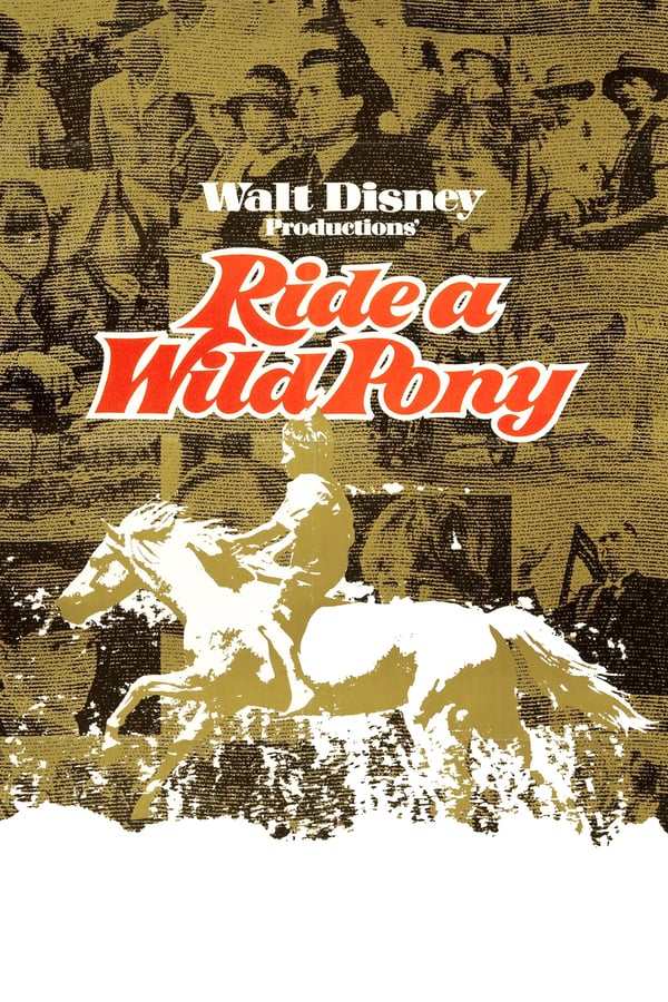 Cover of the movie Ride a Wild Pony