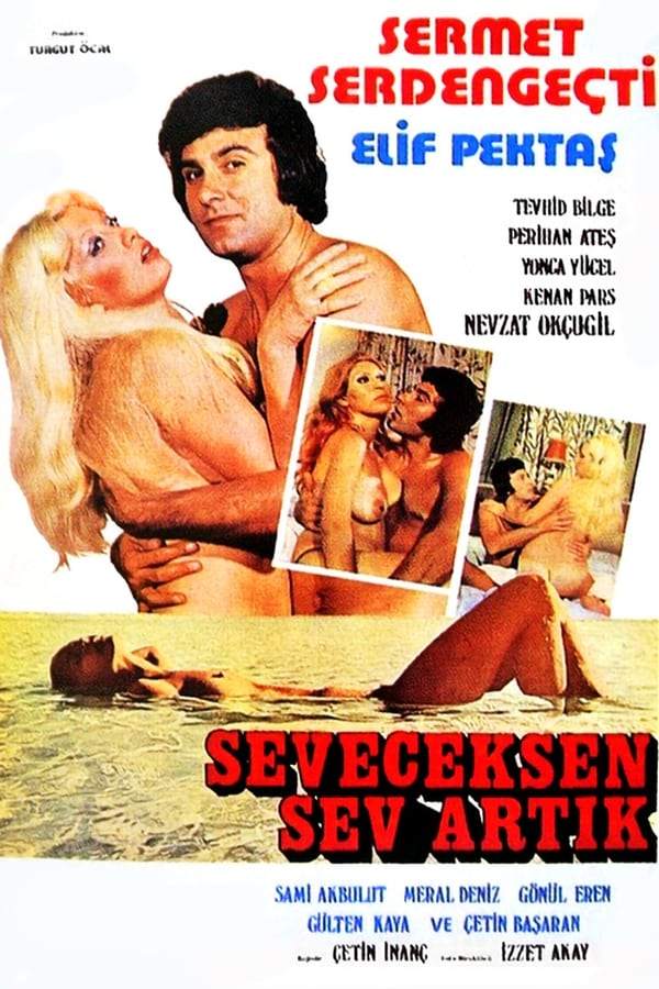 Cover of the movie Seveceksen Sev Artık