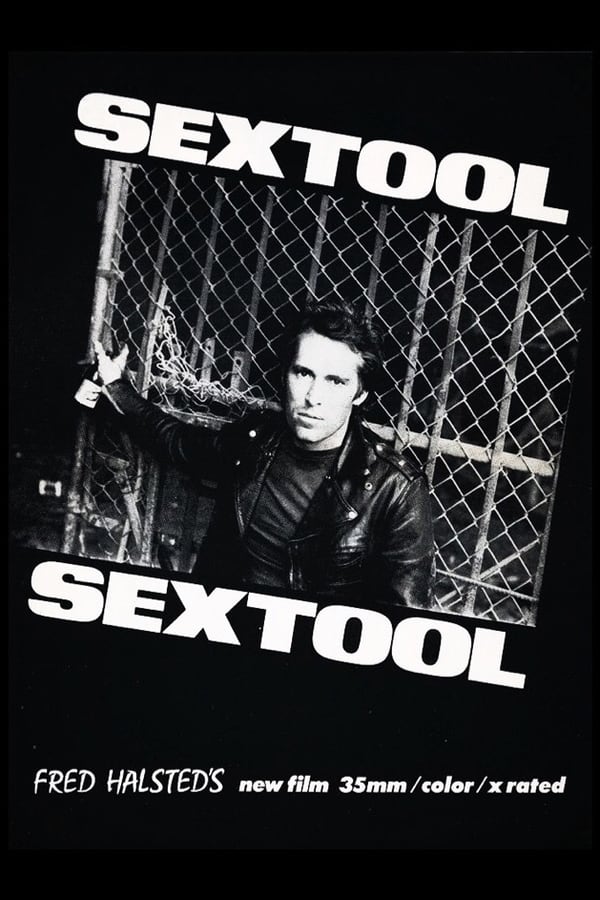 Cover of the movie Sextool